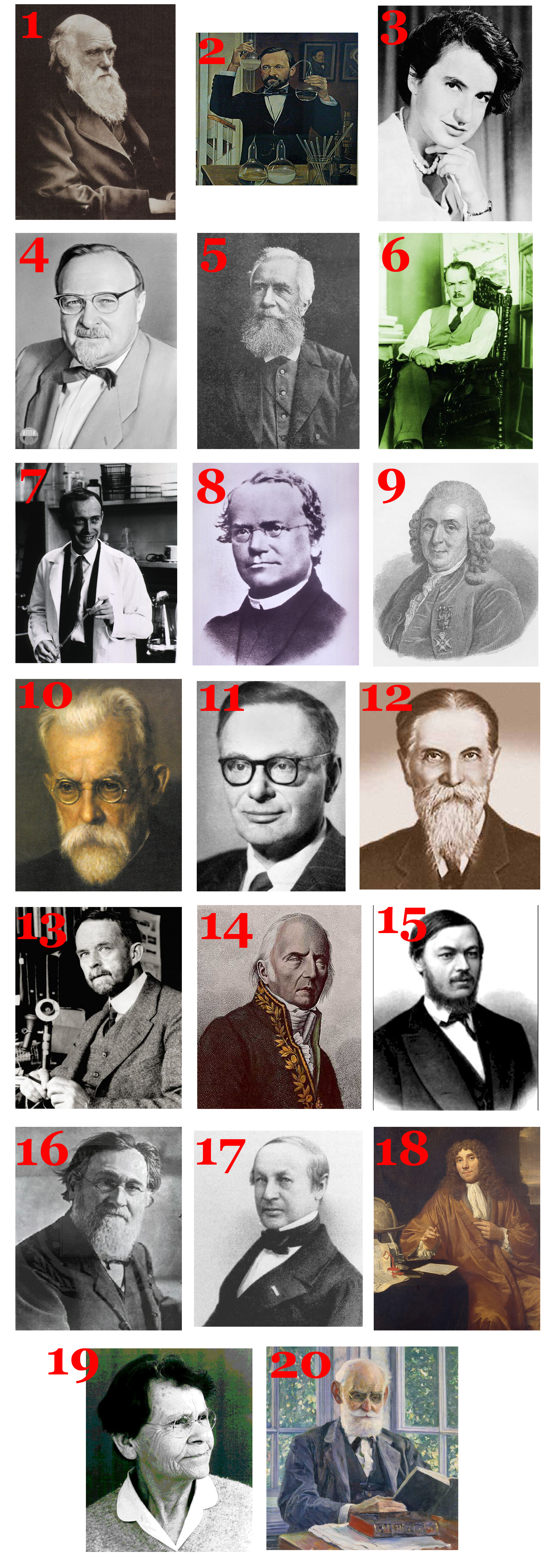 Фамилии ученых. Знаменитые биологи. Учёные биологи и их вклад в науку. Известные биологи на 1 картинке.