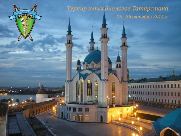 Постер ТЮБ Татарстана 2014