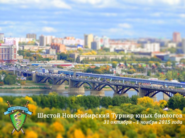 Постер Новосибирского ТЮБ-2015