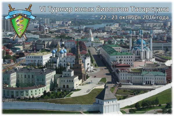 Постер ТЮБ Татарстана 2016