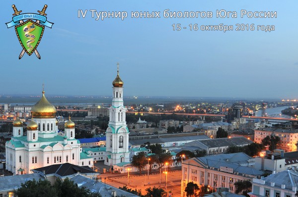 Постер ТЮБ Юга России 2016