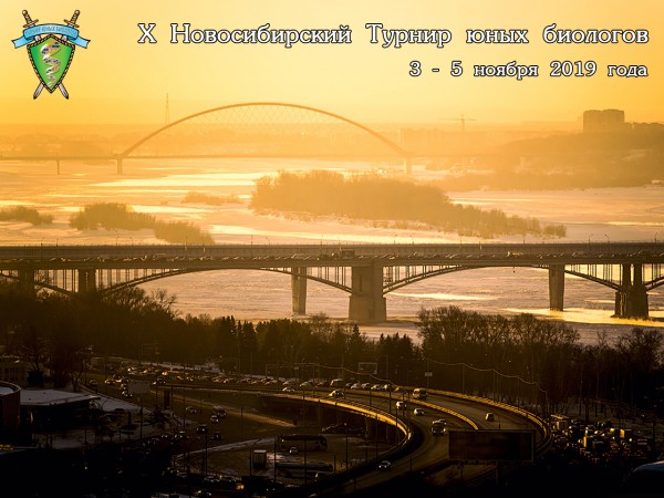 Постер Новосибирского Турнира юных биологов 2019 года